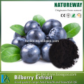 100% Pure Natural, Nice Flavor Blueberry juice powder